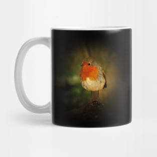 Robin Mug